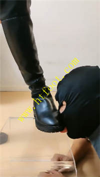yp5gdugiwkx.jpg