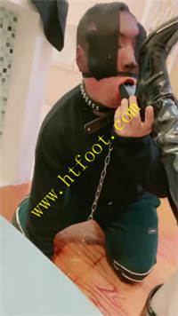 fxdlc2yvo1z.jpg