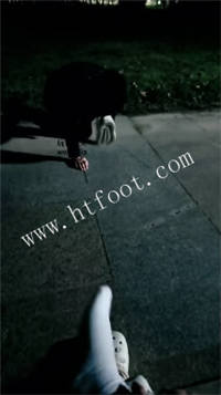 tmr4gs534t2.jpg