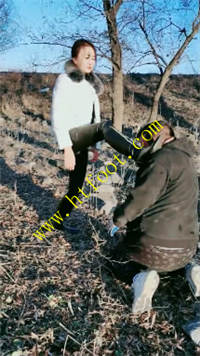0rnz1abacsc.jpg