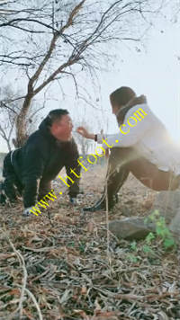 qsm5a5eopgg.jpg