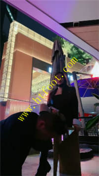 fvbx03qchgo.jpg