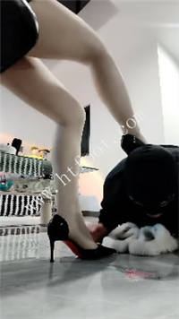 uw0qwu5rtdj.jpg