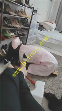 2qfjjltktek.jpg