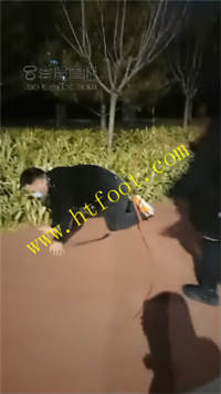 puiegm3a2qq.jpg