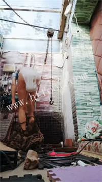 v0wvdy3233n.jpg