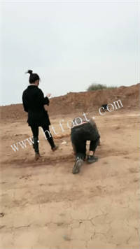 ymmg331hrhq.jpg