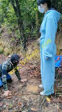 wrduu0isphi.jpg