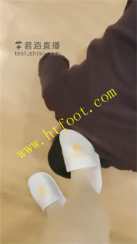trpl3zn2q51.jpg
