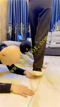 zt2tkvrueer.jpg