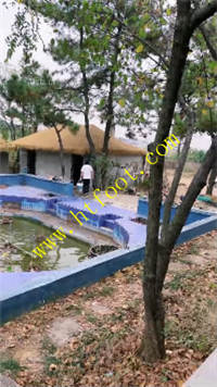 he4otgjdf1l.jpg