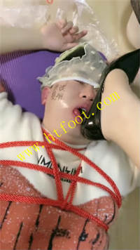1f10edv4zli.jpg