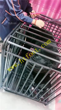 gz5n40ymp2i.jpg