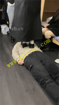 fzygesv02to.jpg