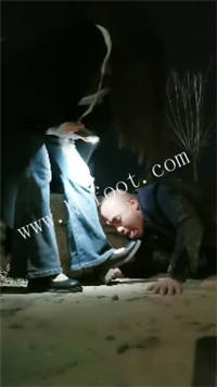toy5gt5oarf.jpg