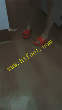 q2orta3fw5s.jpg