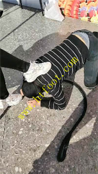 wxcj5jylg1p.jpg