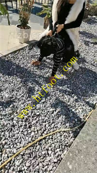 ss01kmyy4sv.jpg