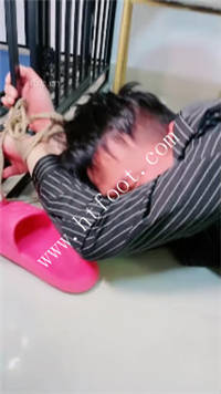 e04aiu255of.jpg