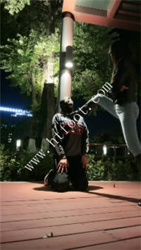vm2ohh0uncb.jpg