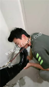 aijr5wsd03j.jpg