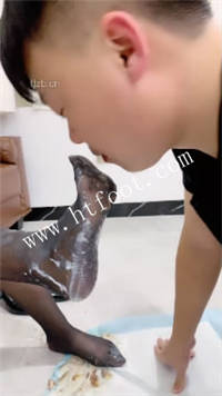 0uboy4jcjib.jpg