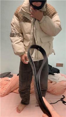 oagswetjr5f.jpg