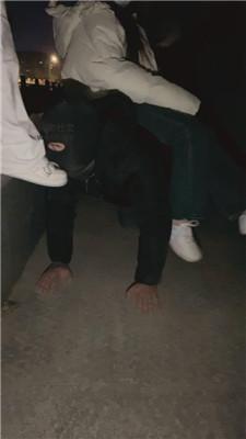 t5iwypvh2fd.jpg