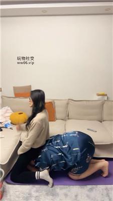 d1oihu335qt.jpg