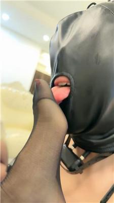 n4oqqrm34dy.jpg