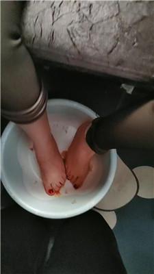1iipveravet.jpg