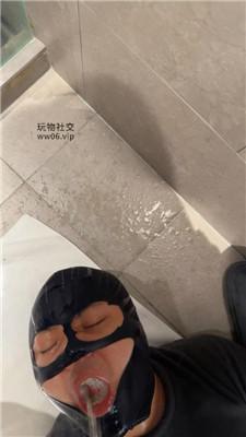 q5h002wjy4t.jpg
