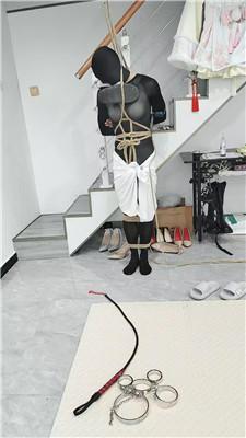 jd4lzynlpxh.jpg