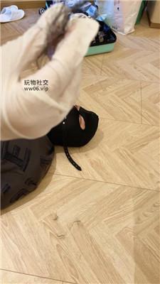 caoctpkj4wu.jpg
