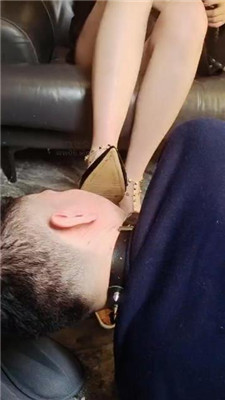 mrtntpktj3x.jpg