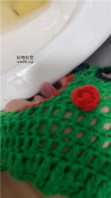 awcgp5eea4l.jpg