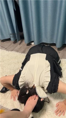 vyoabocumb4.jpg