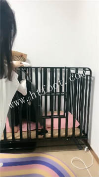 001822i4nr4on9ssv4ss6r.jpg