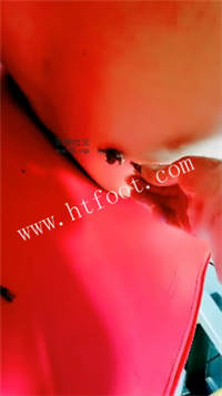 081059e9st5525ojm4jsvj.jpg