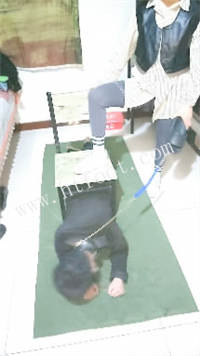 081443xvwhhawiapjazp13.jpg