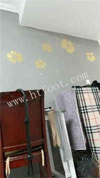 042127hb2p1onb1hmz210r.jpg