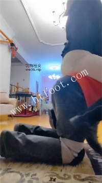 000430hrxxse2rexq88qrs.jpg
