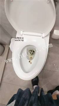 002159ke0ypoych40zcee0.jpg