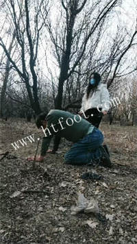 113508zee959ss30estpf6.jpg