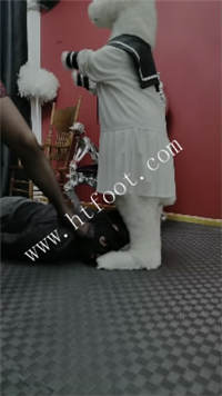 122509guptjp5mp2t55p8p.jpg