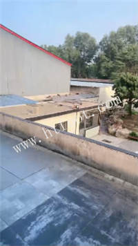 140241qfddvypadrlrcgax.jpg