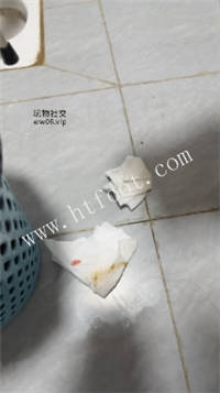 012916pj1b1zh23drrp50r.jpg