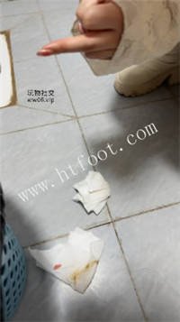 012916o451ecqzcmmjv5hm.jpg