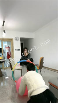 013109pbzbxbi5t05i0lb0.jpg