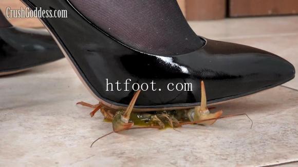 112530mj1pe5qdc8ftsp74.jpg